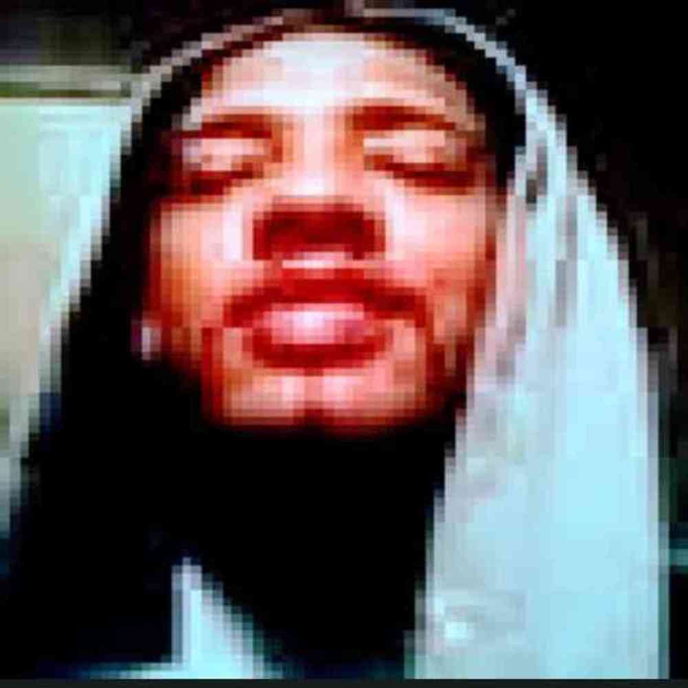 Meet your Posher, Wes